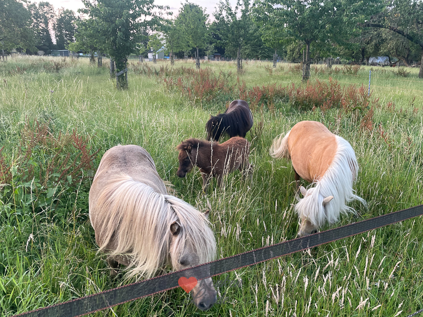 Een kijkje in de keuken week 28-2023