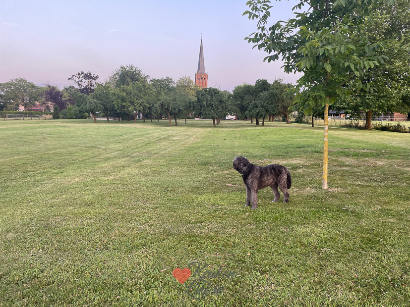 Een kijkje in de keuken week 28-2023