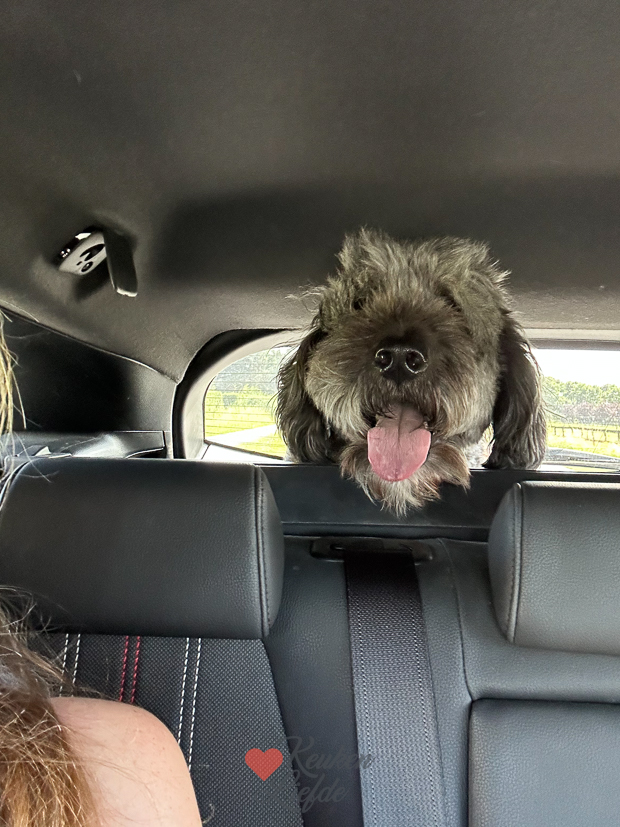 Een kijkje in de keuken week 28-2023