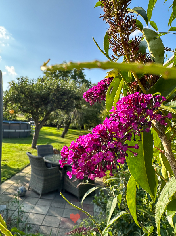 Een kijkje in de keuken week 30-2023