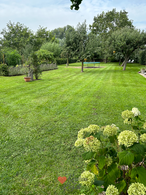 Een kijkje in de keuken week 35-2023