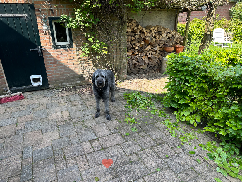 Een kijkje in de keuken week 20 2024