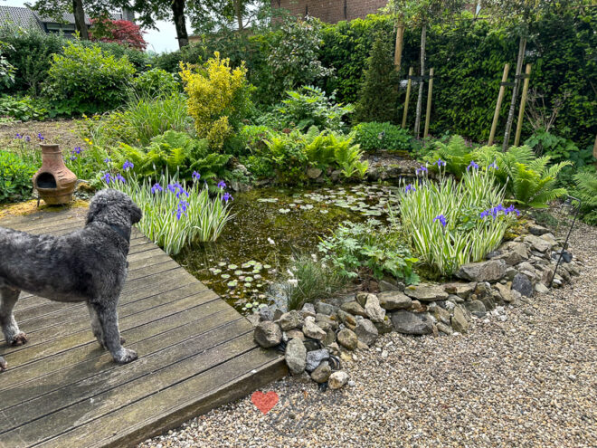 Een kijkje in de keuken week 21 2024