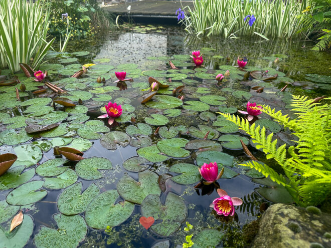 Een kijkje in de keuken week 22 2024