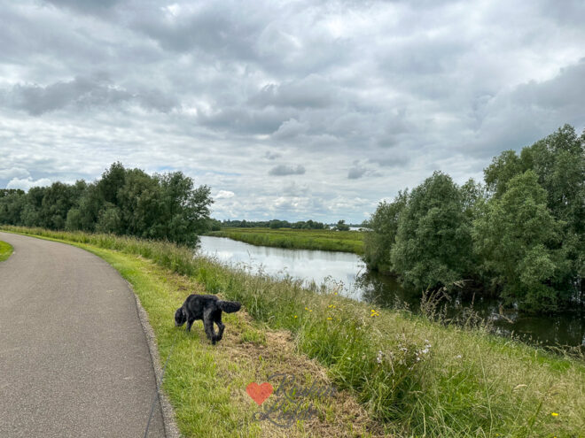 Een kijkje in de keuken week 23 2024
