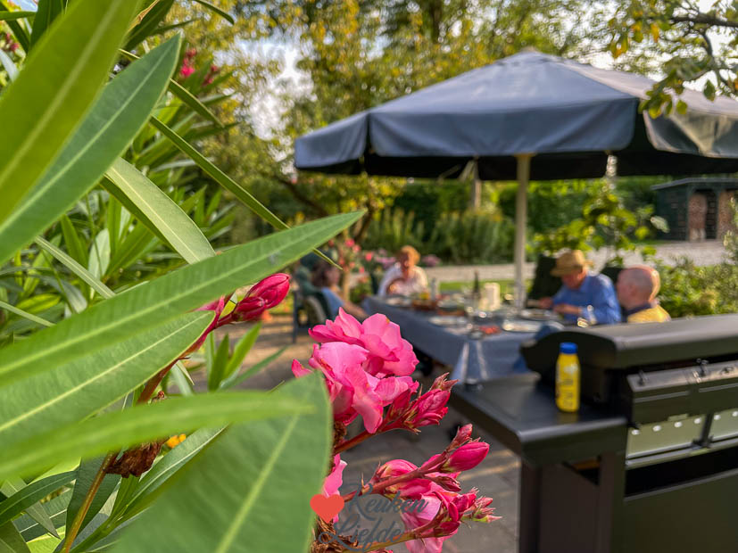 Een kijkje in de keuken week 36 2024