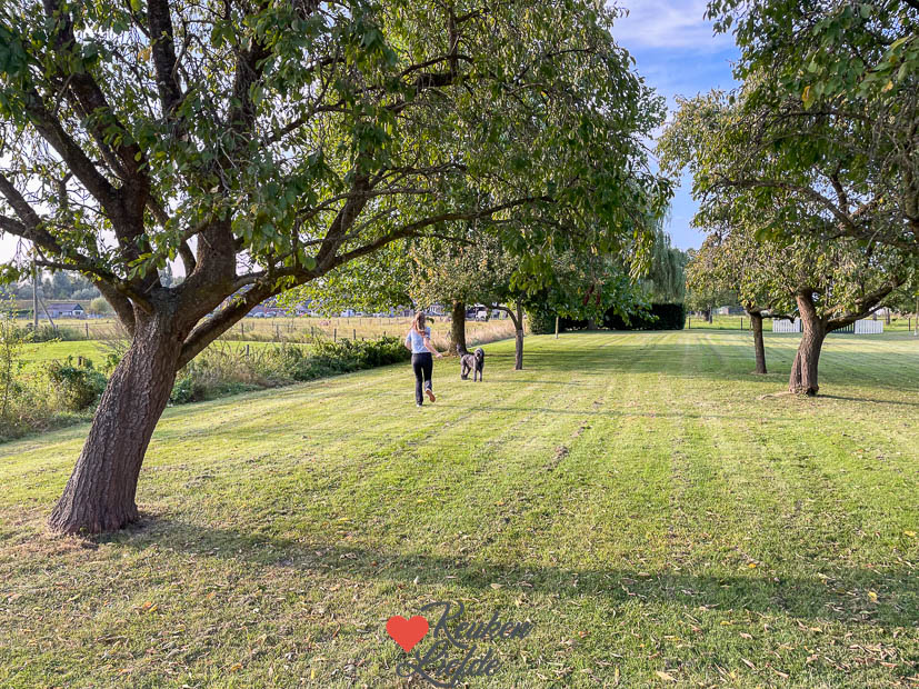 Een kijkje in de keuken week 36 2024