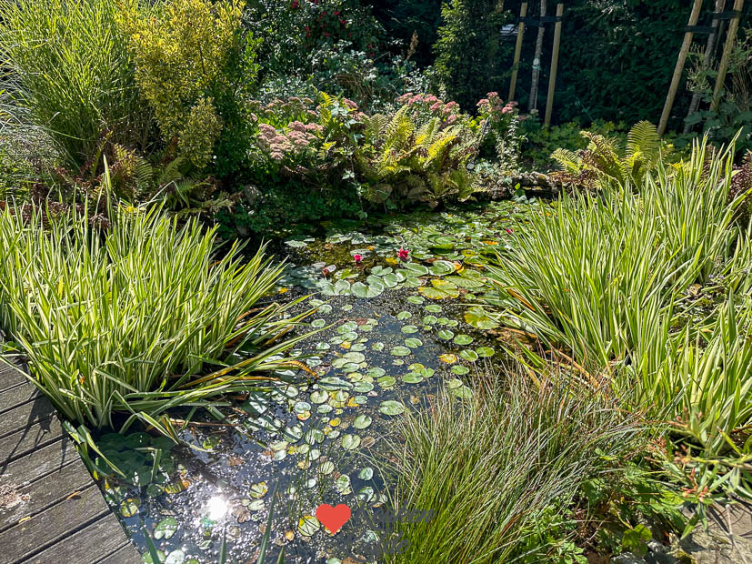 Een kijkje in de keuken week 36 2024