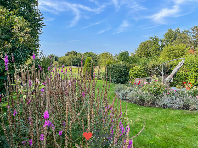 Een kijkje in de keuken week 36 2024