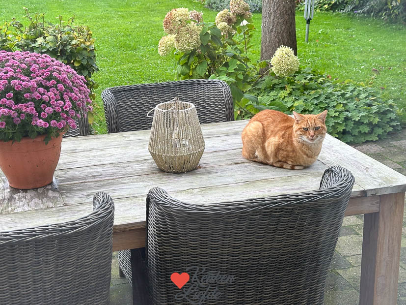 Een kijkje in de keuken week 41 2024