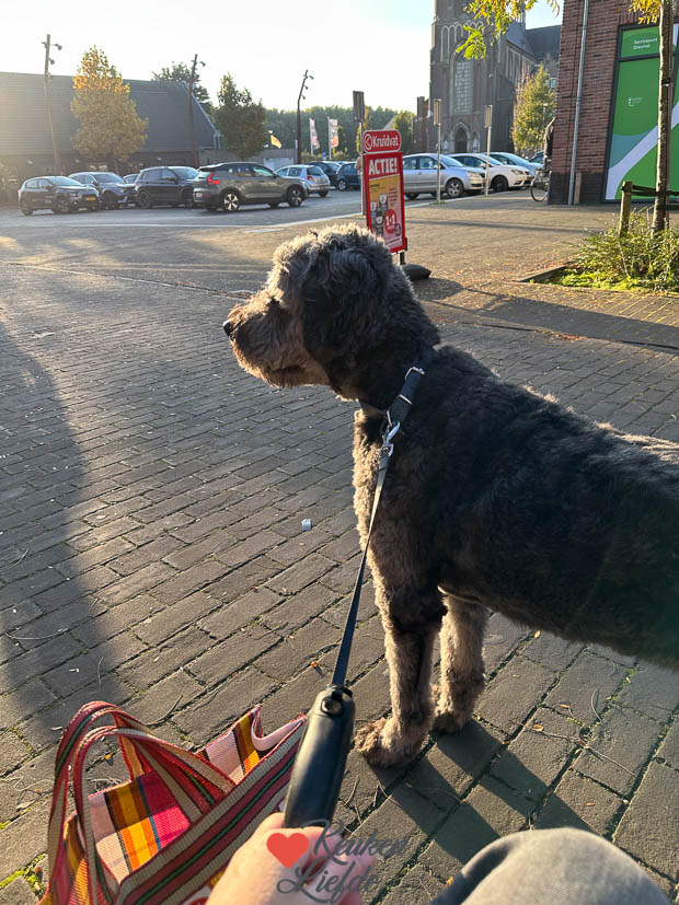 Een kijkje in de keuken week 44 2024