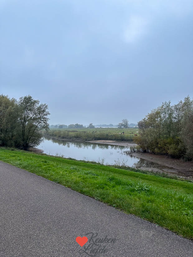 Een kijkje in de keuken week 46 2024