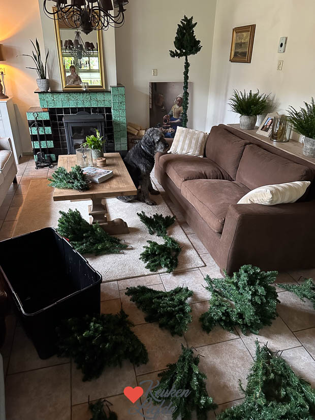 Een kijkje in de keuken week 46 2024