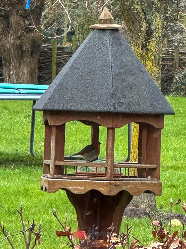 Een kijkje in de keuken week 7 2025