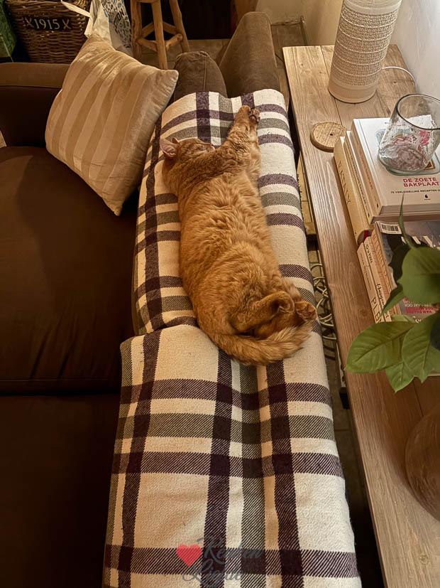 Een kijkje in de keuken week 7 2025