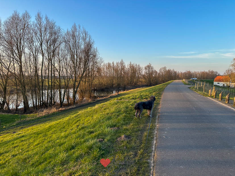 Een kijkje in de keuken week 11 2025