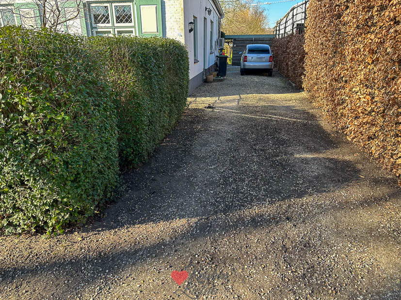 Een kijkje in de keuken week 11 2025