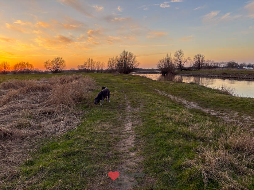 Een kijkje in de keuken week 11 2025