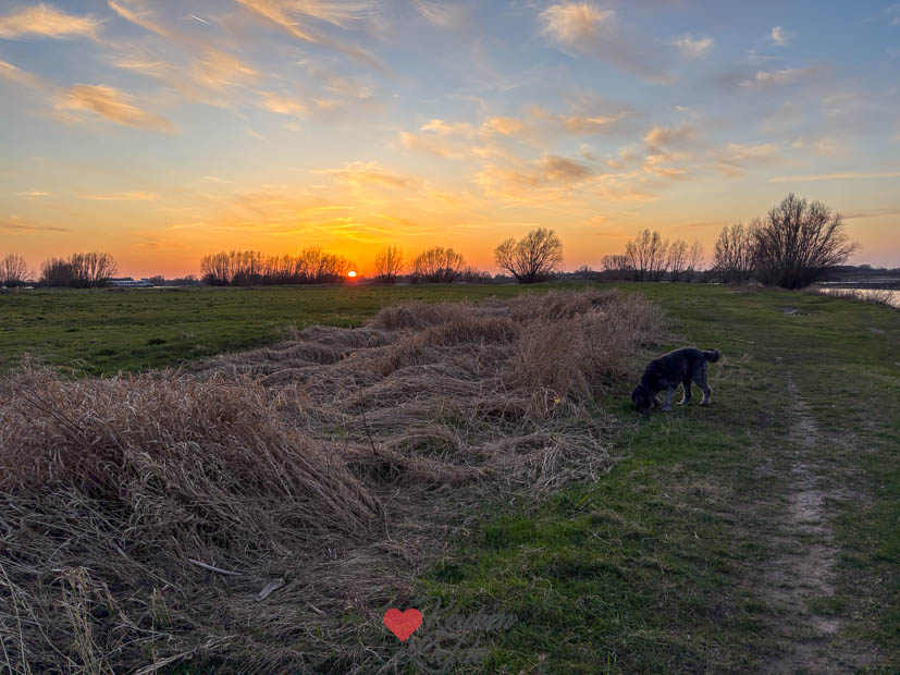 Een kijkje in de keuken week 11 2025