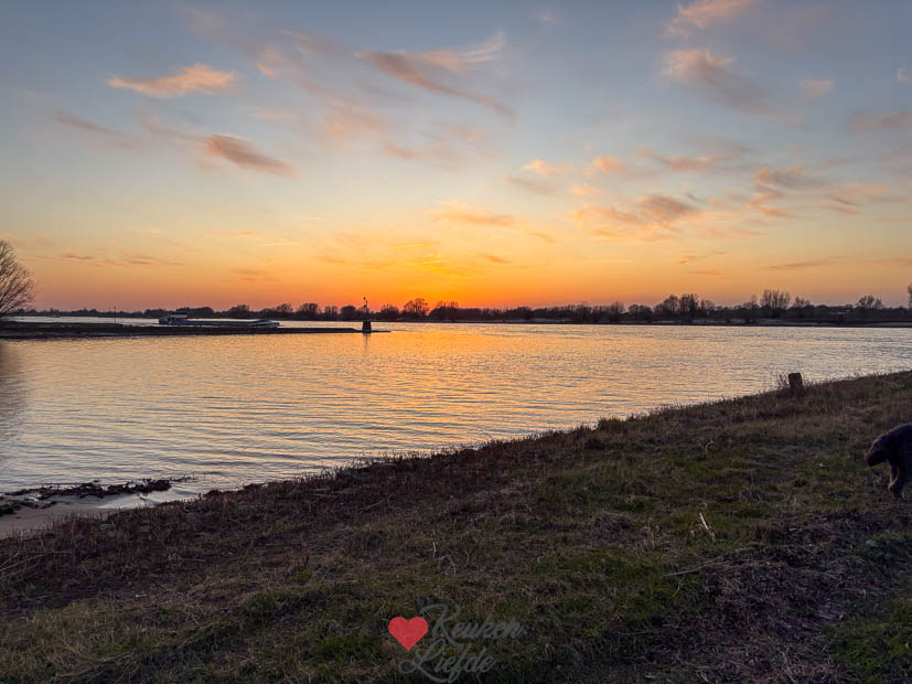 Een kijkje in de keuken week 11 2025