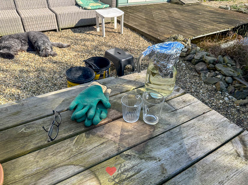 Een kijkje in de keuken week 11 2025