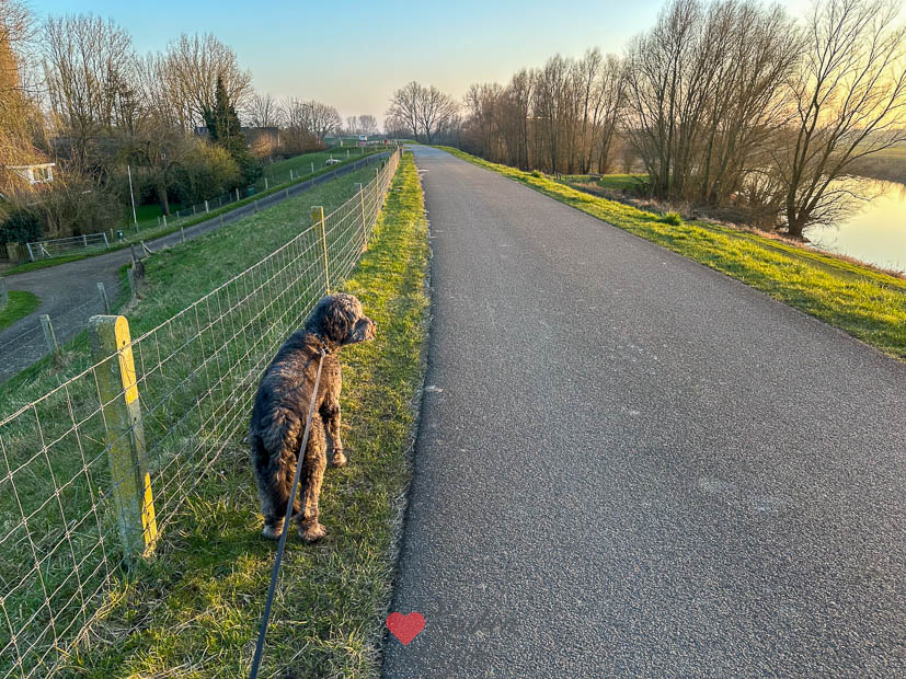 Een kijkje in de keuken week 11 2025