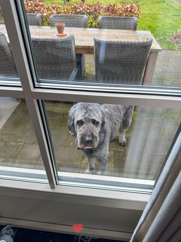 Een kijkje in de keuken week 12 2025