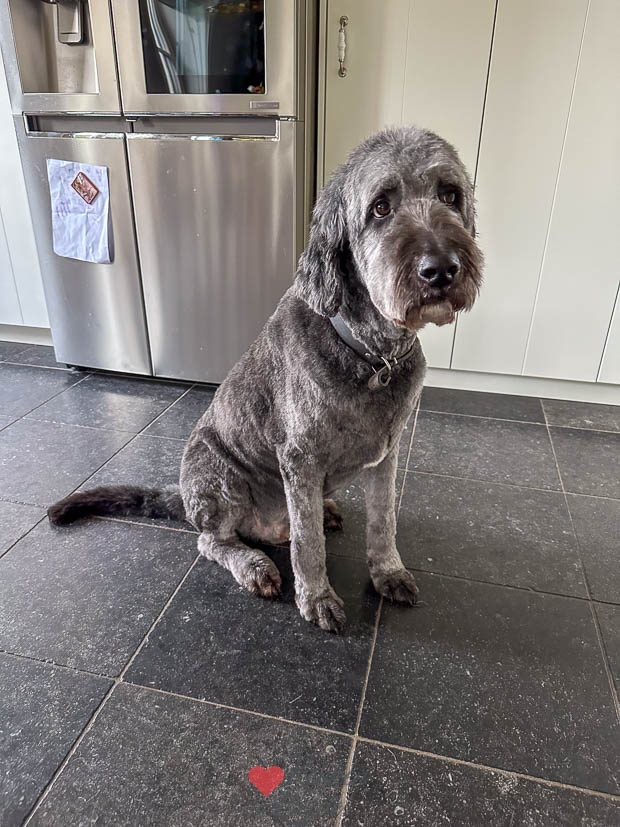 Een kijkje in de keuken week 12 2025 Een kijkje in de keuken week 12 2025