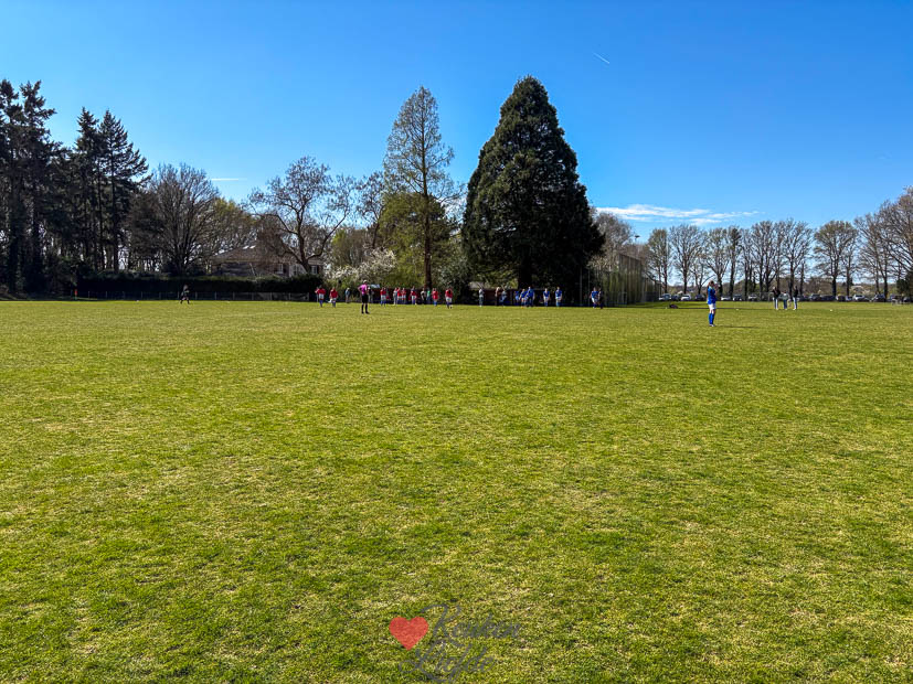 Een kijkje in de keuken week 15 2025