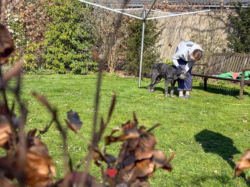 Een kijkje in de keuken week 15 2025