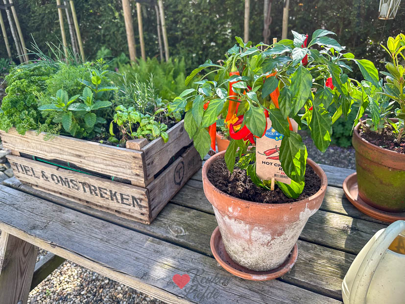 Een kijkje in de keuken week 18 2025