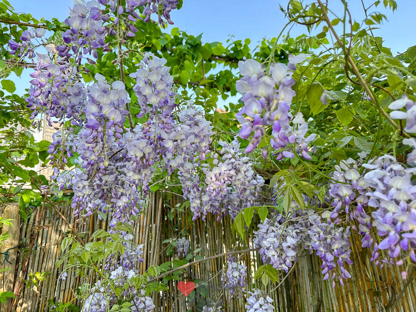 Een kijkje in de keuken week 18 2025