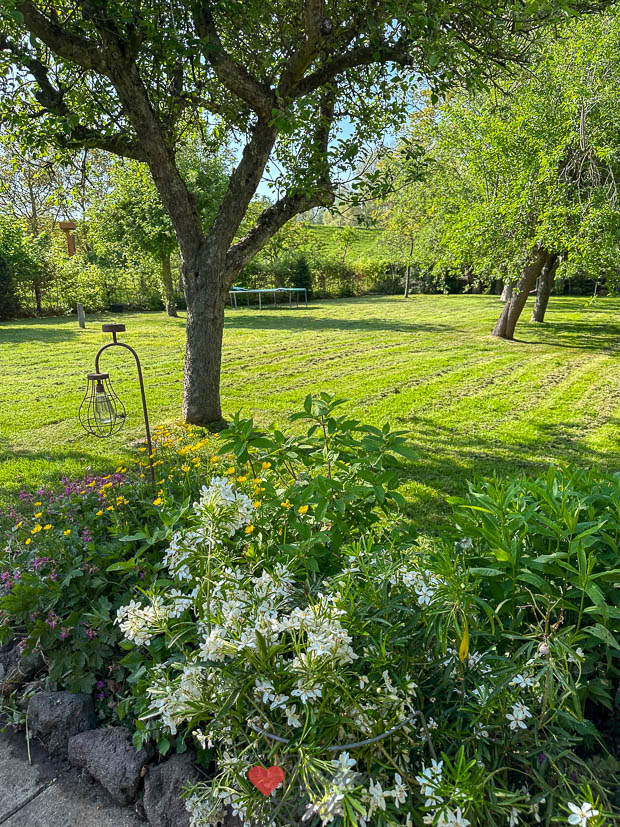 Een kijkje in de keuken week 18 2025
