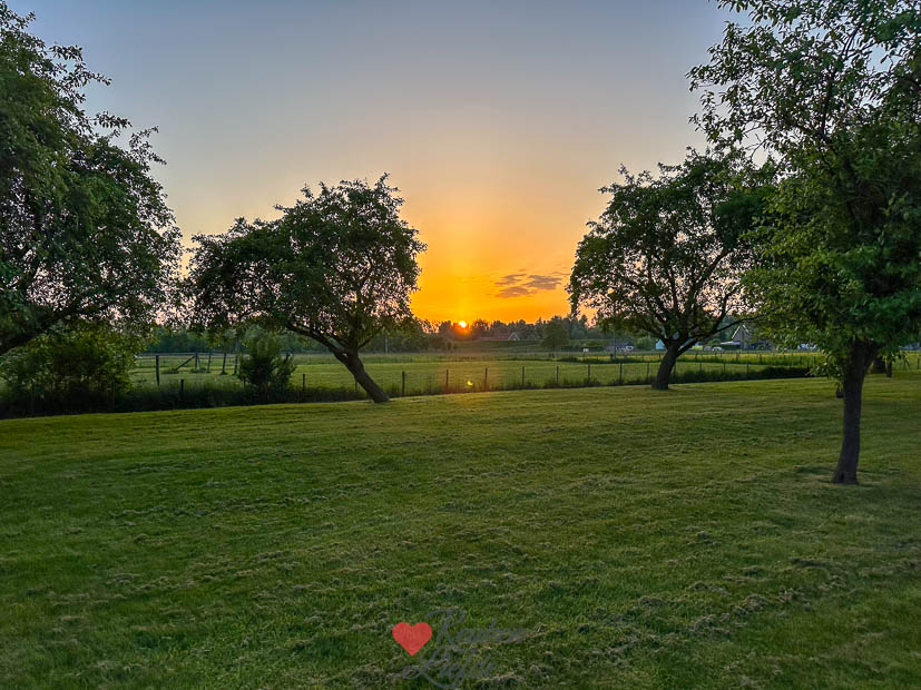 Een kijkje in de keuken week 18 2025