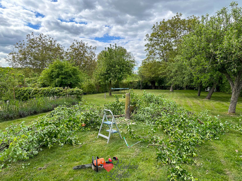 Een kijkje in de keuken week 18 2025