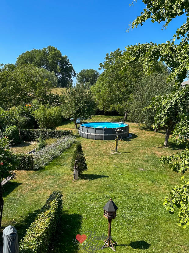 Uitzicht op onze tuin